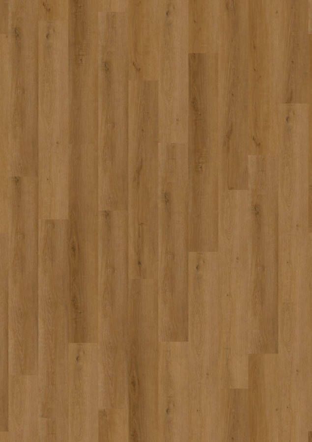 Cavalio PVC Click 0.3 design Golden Oak inclusief ondervloer per pak a 2.15m2 en 12 jaar garantie. Binnen 5 werkdagen geleverd