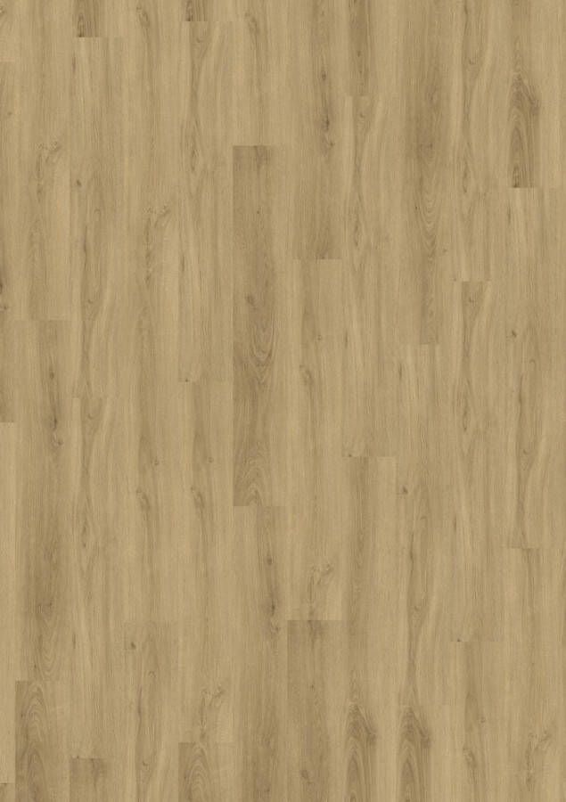 Cavalio PVC Click 0.3 design Raw Oak inclusief ondervloer per pak a 2.15m2 en 12 jaar garantie. Binnen 5 werkdagen geleverd