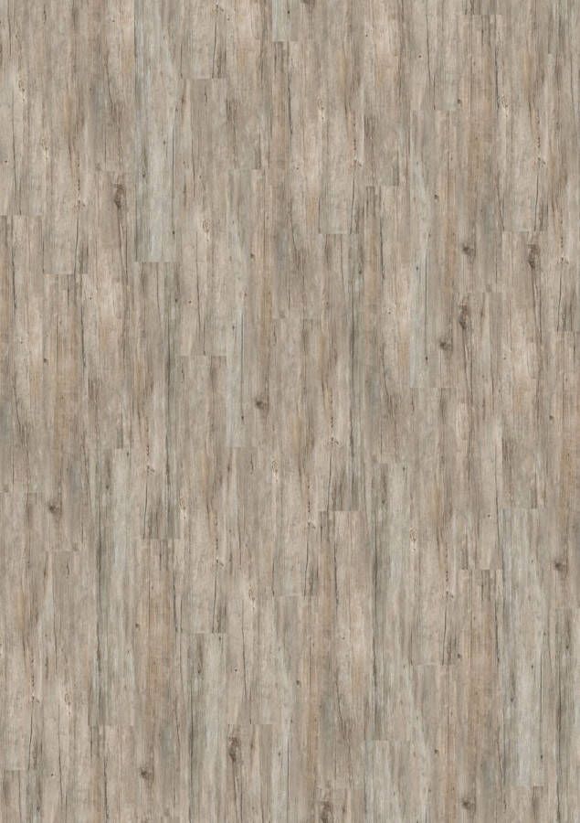 Cavalio PVC Click 0.55 design Driftwood grey inclusief ondervloer per pak a 2.18m2 en 12 jaar garantie. Binnen 5 werkdagen geleverd