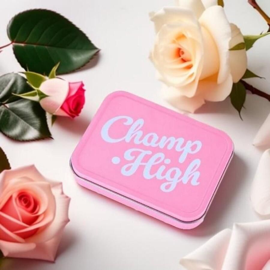 Champ High Bewaarblik Licht Roze Metaal bewaarblik Tin Box 11.2x8.3cm