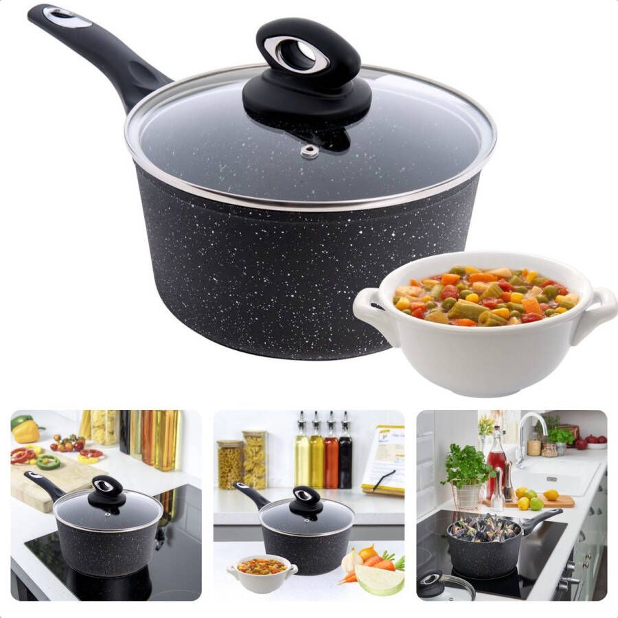 Cheqo Steelpan met Deksel Alle Warmtebronnen Ook voor Inductie Kookpan Gesmeed Aluminium 18cm