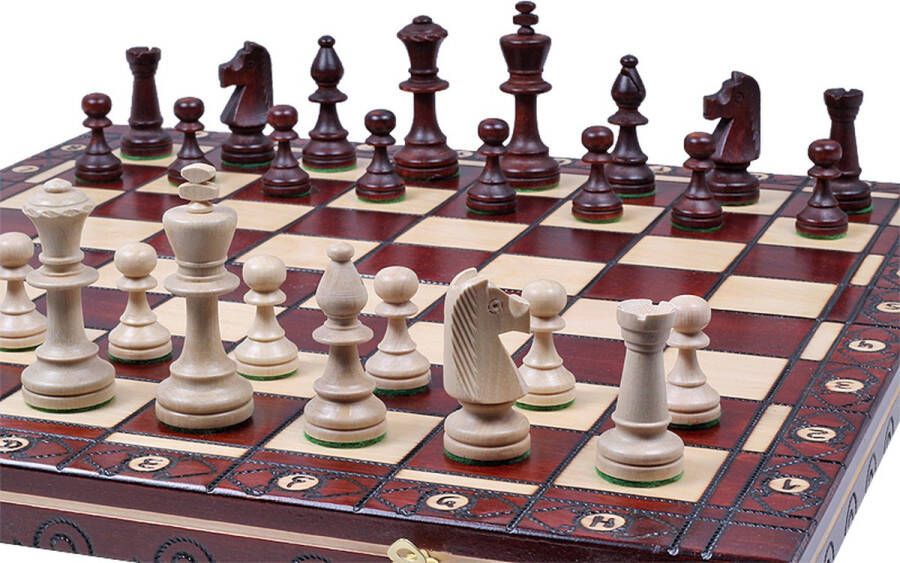 Chess the Game Middelgroot beuken en berkenhouten schaakbord met klassieke schaakstukken Bestseller!!