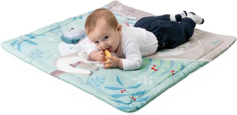 Chicco 2 in 1 relax & play speelmat