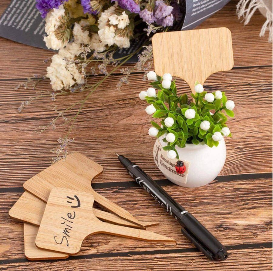 CHPN Plantenetiketten Plantkaartjes Naamkaartjes Kruidennamen Plantennamen Kruidenetiket 10 x 6 cm Moestuin Plantenlabels Plant Stekers Plant Labels Plant Etiketten Tuinieren 100stuks Hout