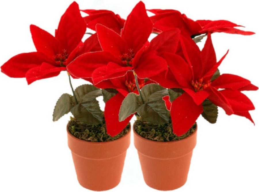 Merkloos Christmas Decoration Kunstplantje- 2x Kerstster rood 20 cm -binnen Kunstplanten