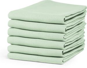 DDDDD Cinderella Checkmaid Theedoek 60x65 cm Green Set van 6