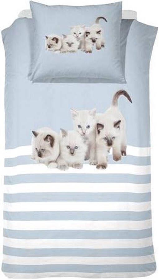 Cinderella Cute Kittens Dekbedovertrek Eenpersoons 140x200 220 cm Blue