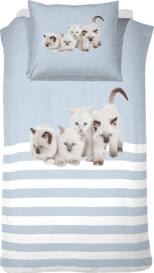 Cinderella Cute Kittens Kinderdekbedovertrek 140 x 200 cm Eenpersoons Blue