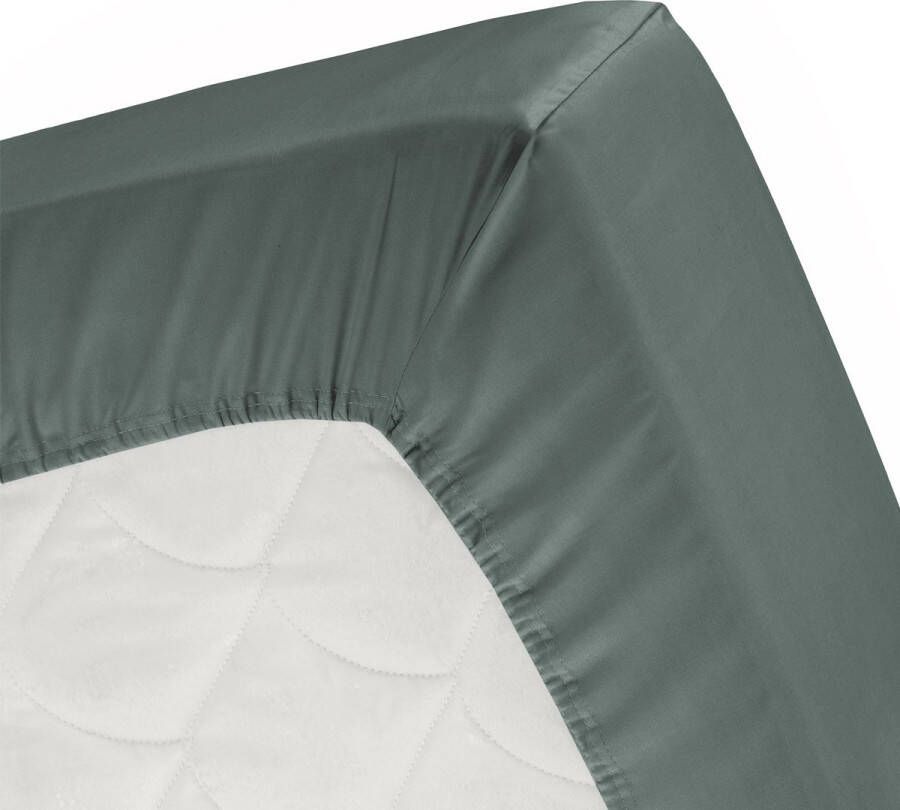 Cinderella Hoeslaken Tot 25 cm matrashoogte Jersey 180X220 & 200 200 cm- Groen - Foto 2