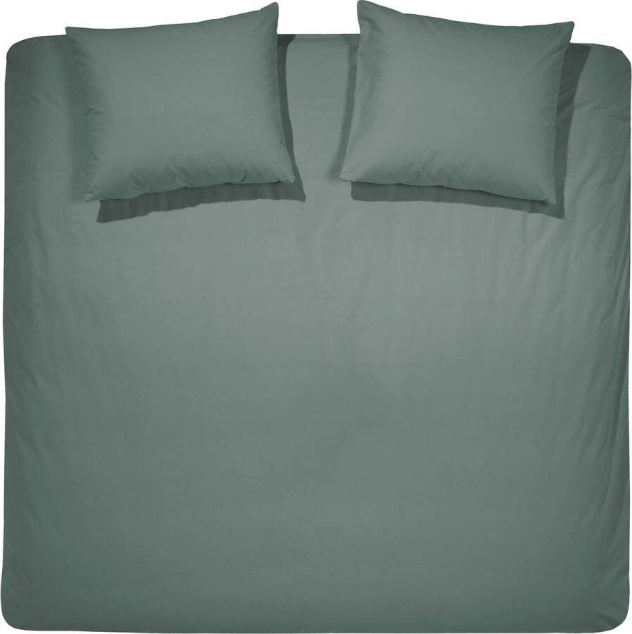 Cinderella Weekend Dekbedovertrek Tweepersoons Katoen Lits-Jumeaux Extra Breed 260x200 220 cm Groen