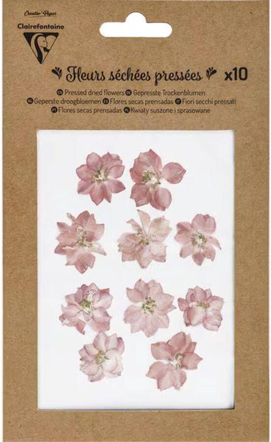 Claire Fontaine Geperste droogbloemen 10 stuks Rose Rozen