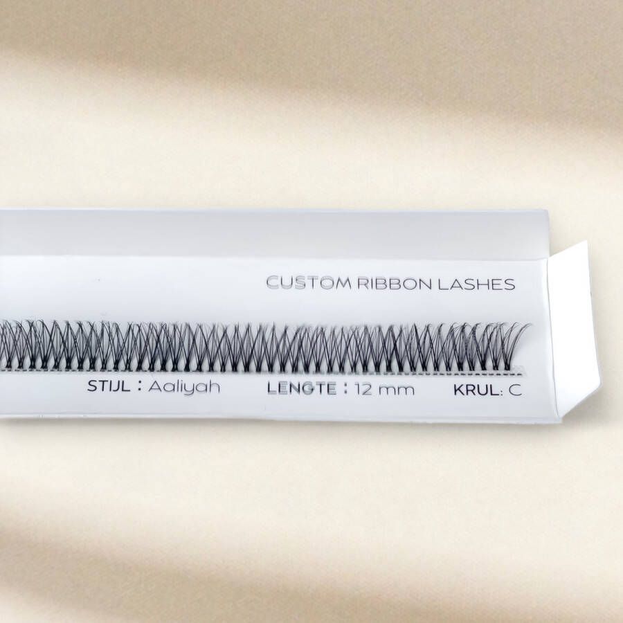 Classy Lashes Ribbon Fast Lashes Basic Volume Stijl Aaliyah Fast Lash Segment 12 mm DIY Wimperextensions Nepwimpers Wimperplukjes
