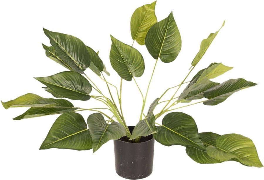Clayre & Eef | Decoratie kamerplant 46 cm | Groen | kunststof foam | Plant | 5PL0025