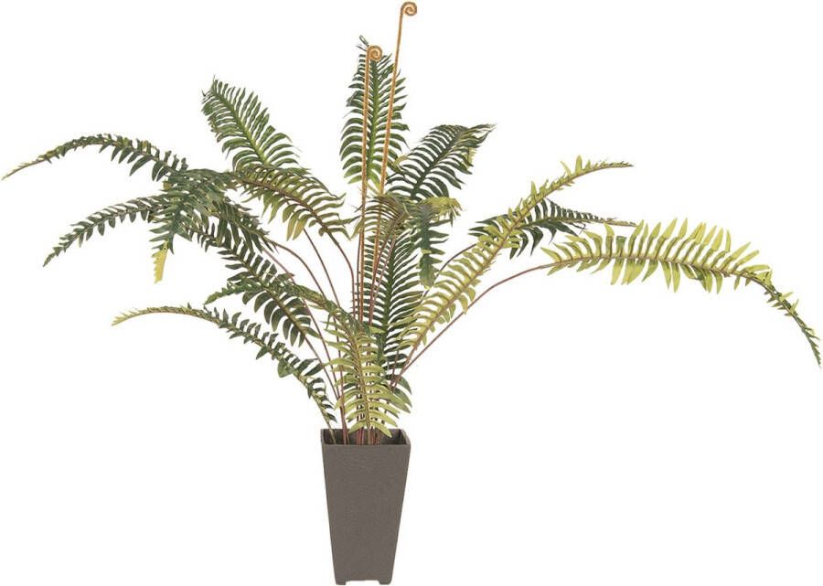 Clayre & Eef Decoratie kamerplant varen | 58*60*86 cm | Groen | kunststof foam | Plant | | 5PL0024