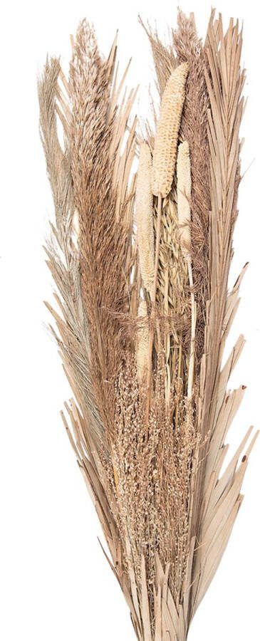 Clayre & Eef Droogbloemen 100 cm Beige Droogbloemen Droogboeket