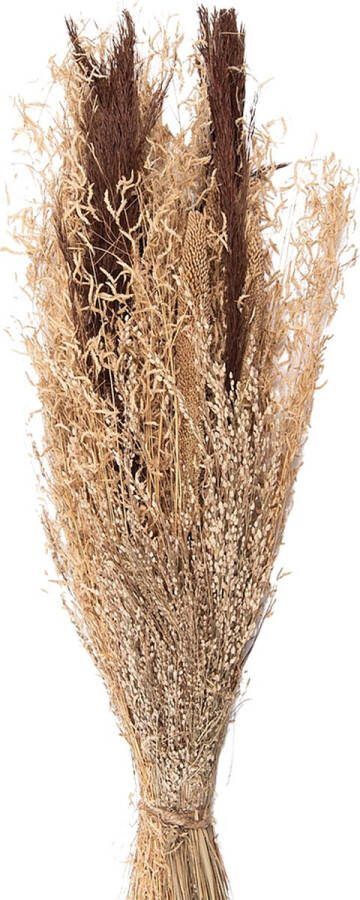 Clayre & Eef Droogbloemen 60 cm Bruin Droogbloemen Droogboeket