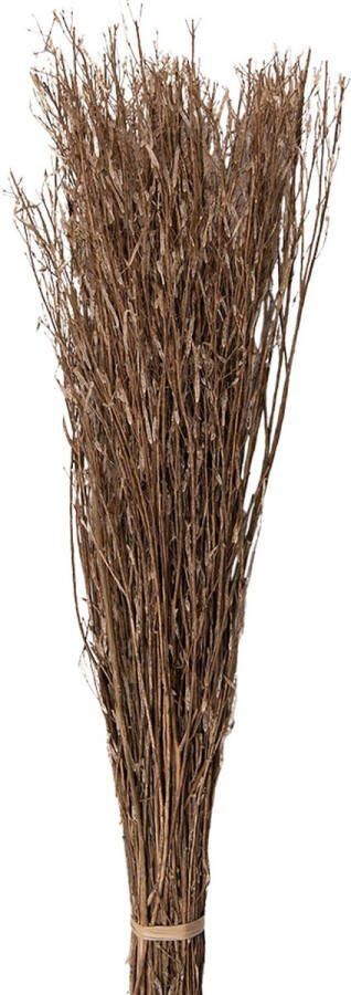 Clayre & Eef Droogbloemen 80 cm Beige Droogbloemen Droogboeket