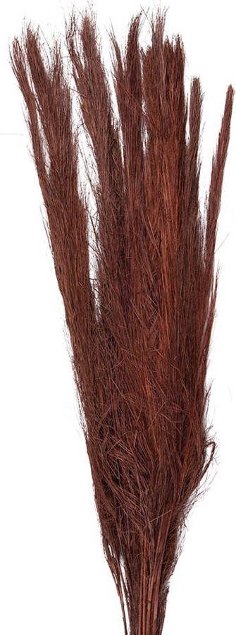 Clayre & Eef Droogbloemen 85 cm Rood Droogbloemen Droogboeket