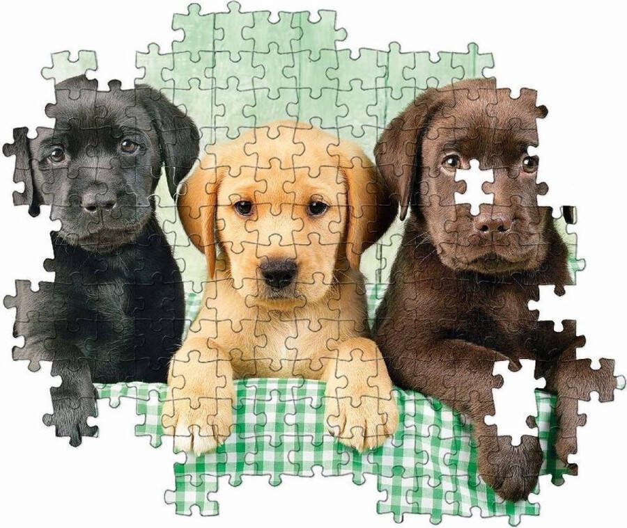 Clementoni Legpuzzel High Quality Puzzel Collectie Drie Labradors 1000 stukjes puzzel volwassenen