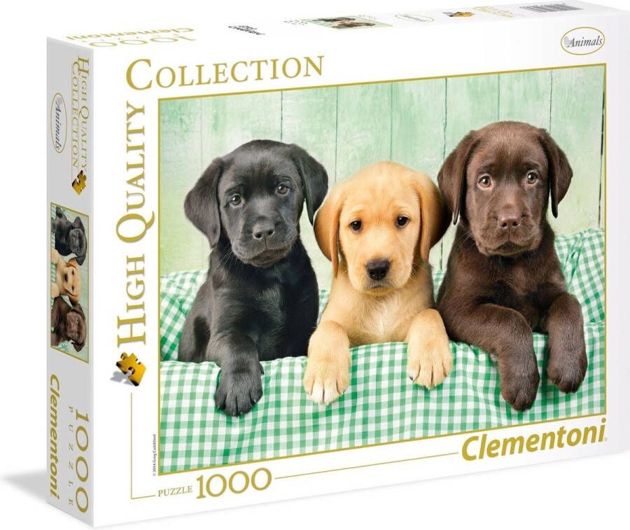 Clementoni Puzzel 1000 Stukjes Volwassenen Legpuzzel Puzzel Drie labrador puppy's 69x50cm Puzzel 1000 Stukjes