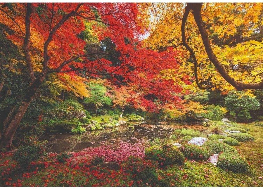 Clementoni Puzzel 1500 Stukjes High Quality Collection Autumn Park Puzzel Voor Volwassenen en Kinderen 14-99 jaar 31820