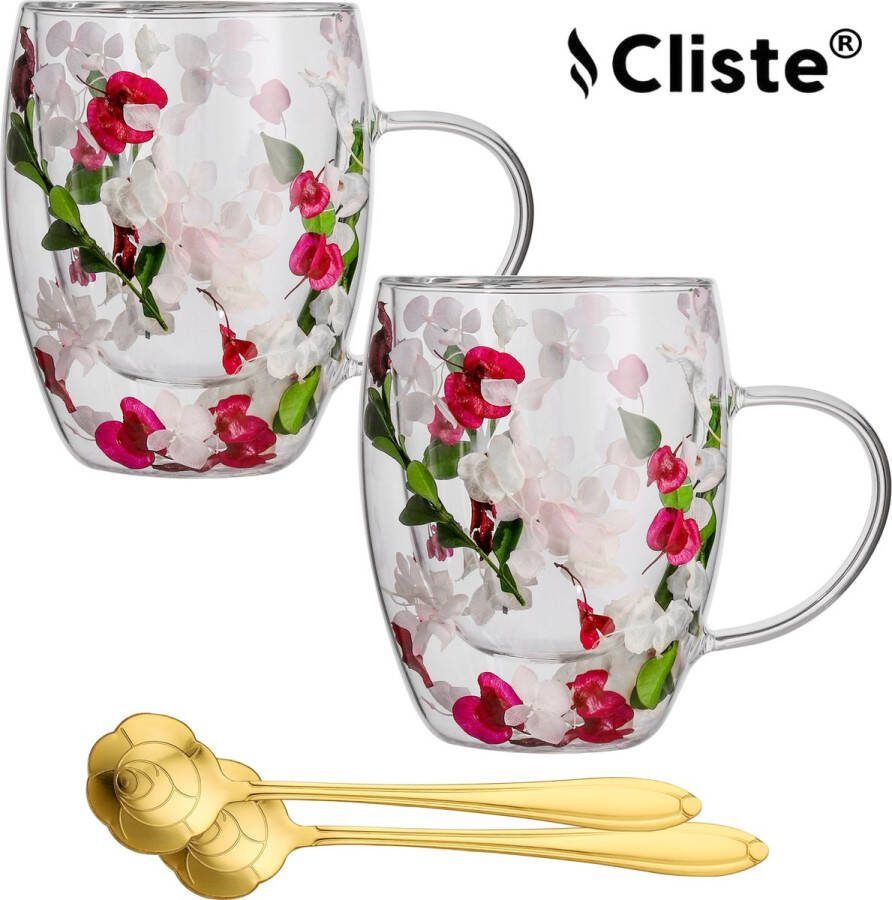 Cliste Dubbelwandige Koffieglazen Set van 6x Met Oor en Gratis 6x Lepels 400ML Handgemaakt Glas Echt Gedroogd Bloem-en bladglas Latte Macchiato Glazen Dubbelwandige Theeglazen Cappuccino Glazen Koffieglazen