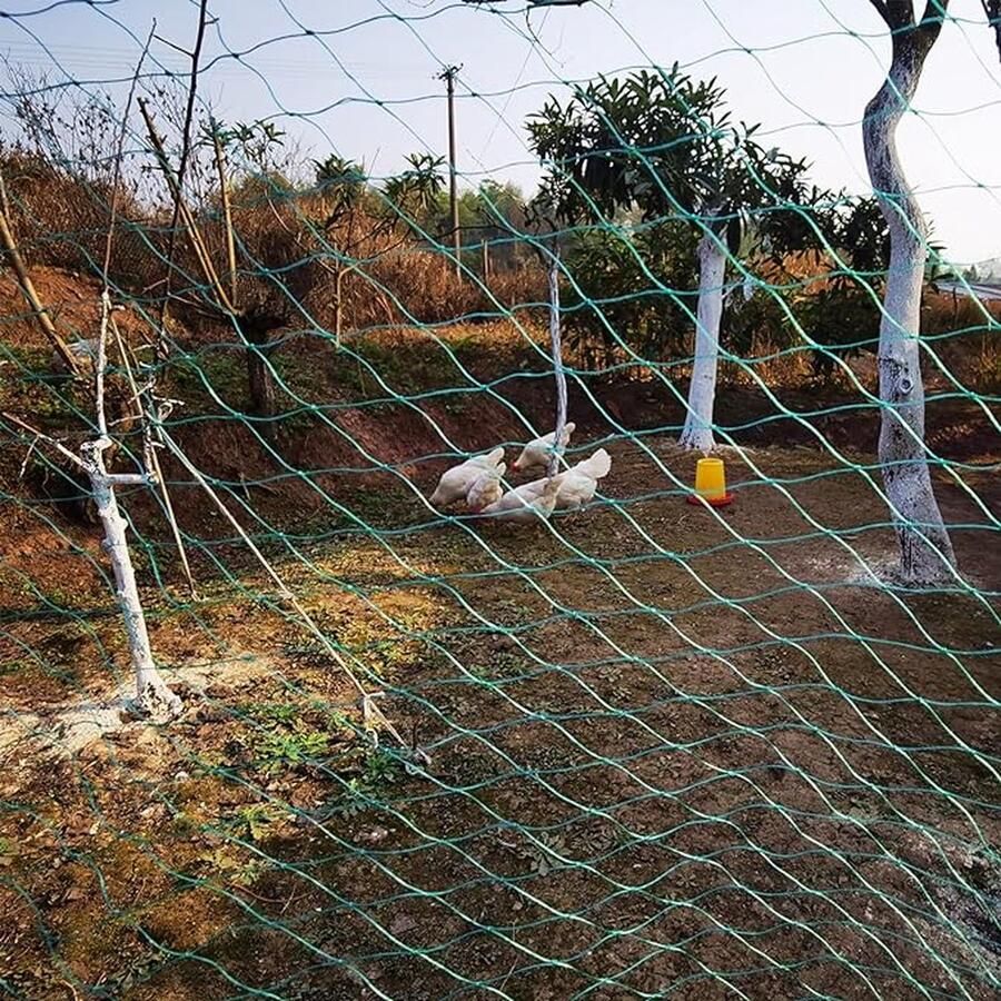CLORD Vogelbeschermingsnet kippennet tuinnet gevogeltenet Groen met 4 cm dikke mazen. Dit sterke vogelnet dient als vijvernet fruitbescherming en zwembadnet. Het is UV-bestendig en robuust