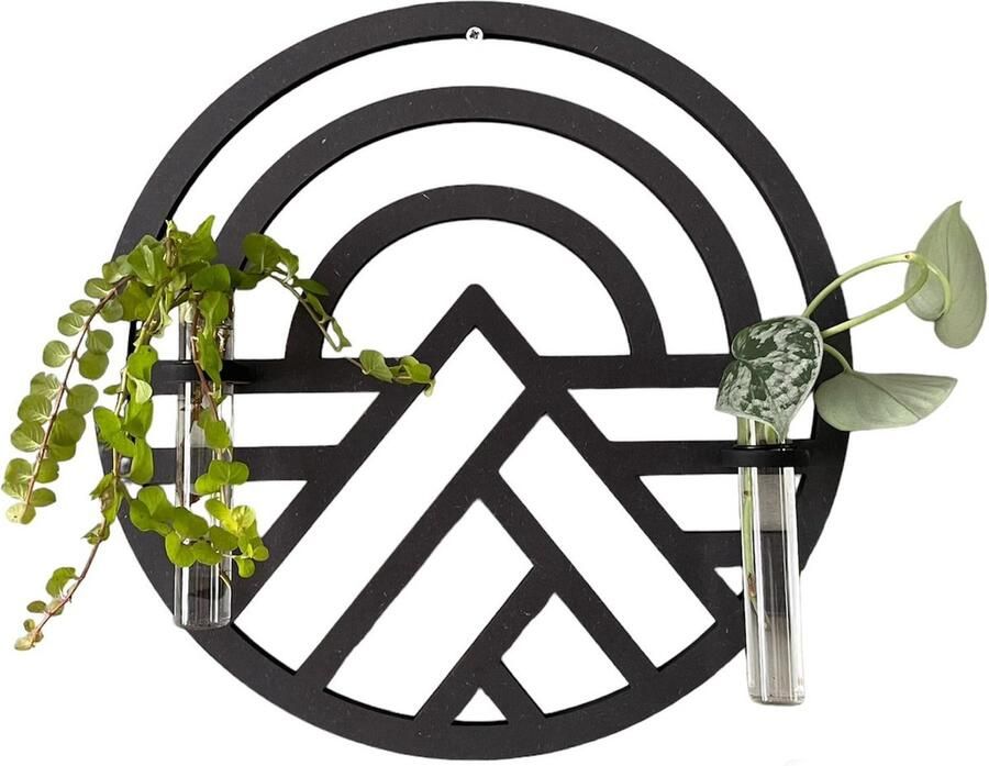 CNCCreative Plantenrek Muurdecoratie Stekstation Plantenhanger Wanddecoratie Hangpot Hangpotten binnen -Bloempot Reageerbuisjes Stekken Plantenbak Plantensteun