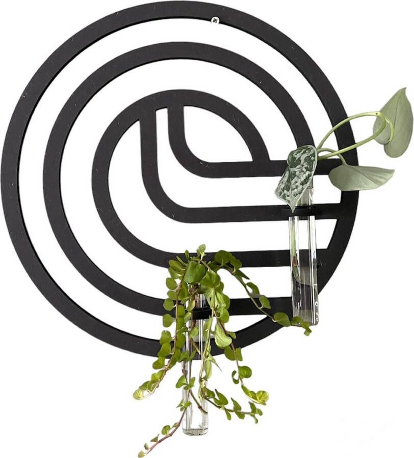 CNCCreative Plantenrek Muurdecoratie Stekstation Plantenhanger Wanddecoratie Hangpot Hangpotten binnen -Bloempot Reageerbuisjes Stekken Plantenbak Plantensteun