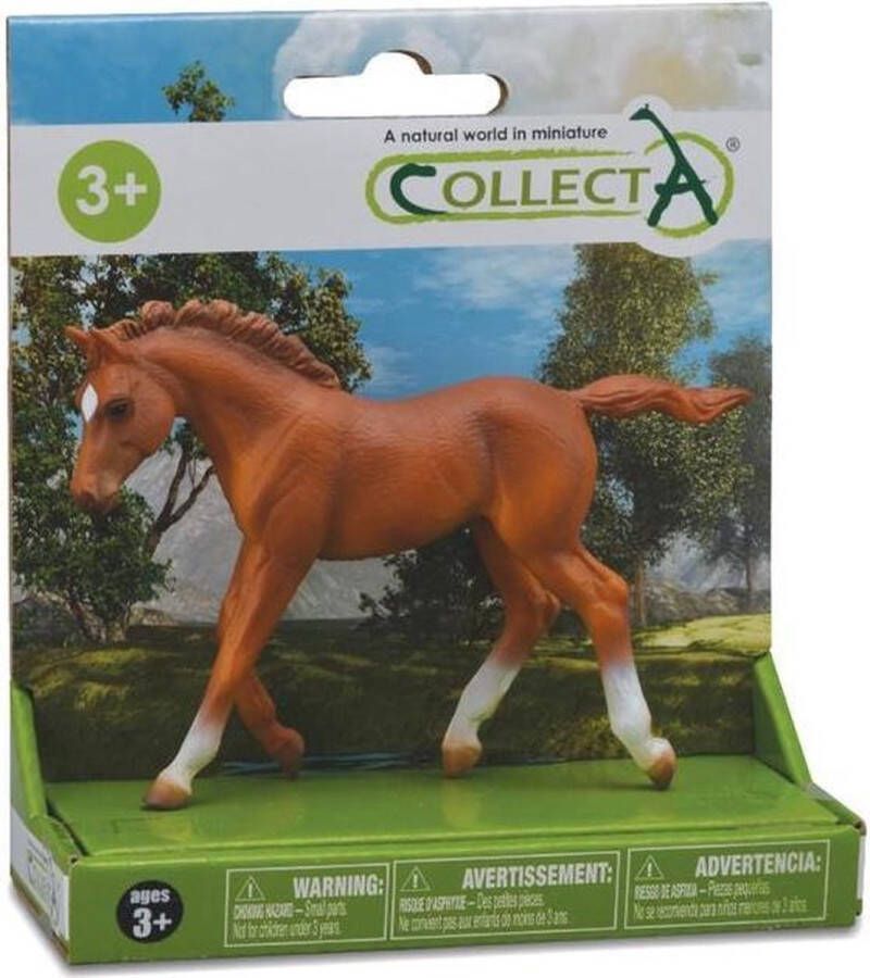 Collecta Paarden: Peruaans Veulen Speelset 8 Cm Kastanjebruin