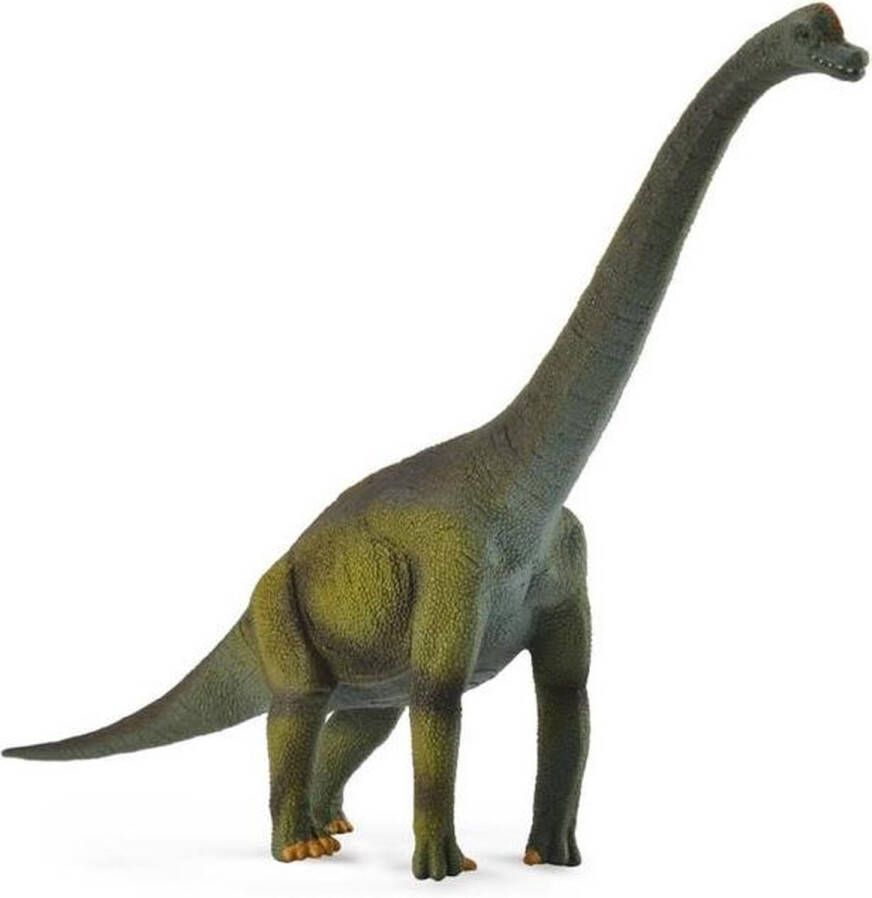 Collecta Prehistorie: Brachiosaurus 18 Cm Groen Speelfiguur
