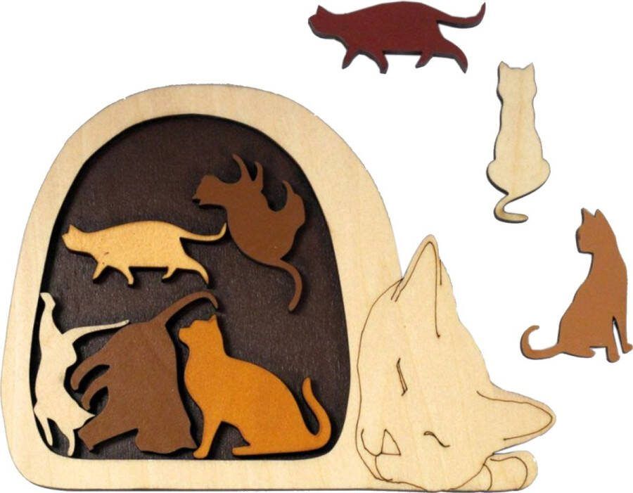 Constantin Puzzel Breinbreker Kattenmand