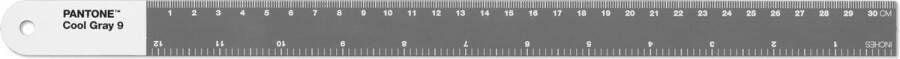 Copenhagen Design Liniaal 30 cm Cool Gray 9 C Roestvast Staal Grijs