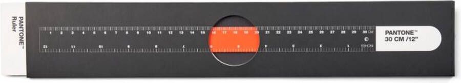 Copenhagen Design Liniaal 30 cm Orange 021 C Roestvast Staal Oranje