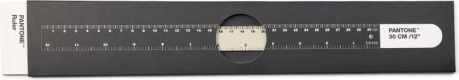 Copenhagen Design Lineaal 30 cm Warm Grey 2 Roestvast Staal Grijs