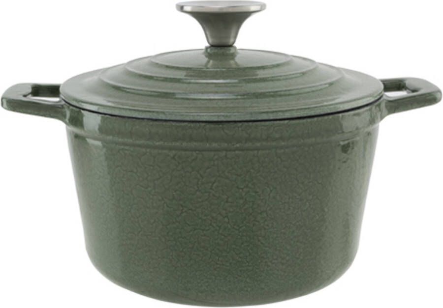 Cosy&Trendy Castard Cooking Pot Shiny Green 1 85ld18xh10cm Cast Iron