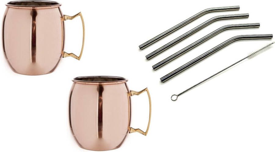 Cosy&Trendy Moscow Mule cocktail set 4x cocktailbekers cocktailglazen 450 ml glad koper Inclusief 4x RVS herbruikbare rietjes