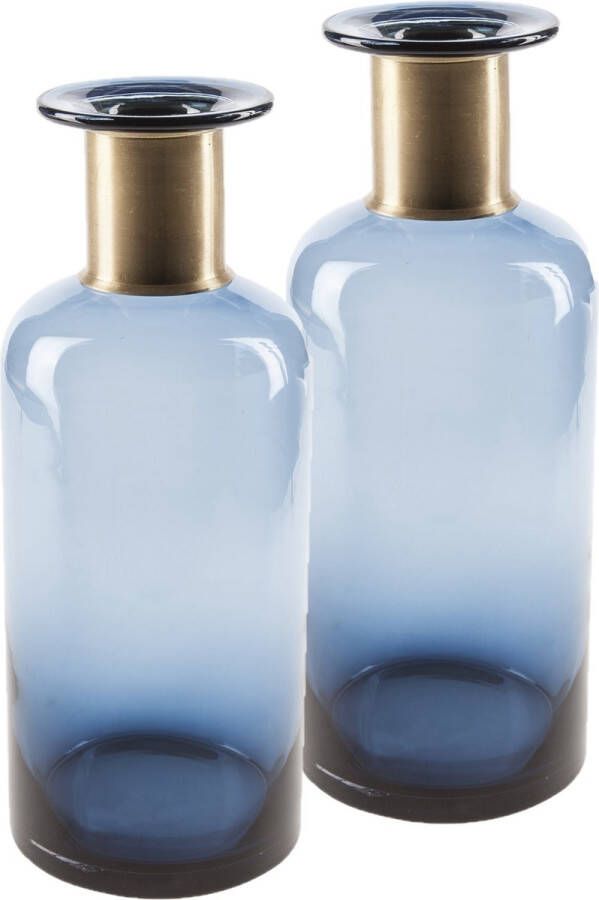 Cosy @ Home 2x stuks flesvazen glas donkerblauw 12 x 30 cm Vazen van glas
