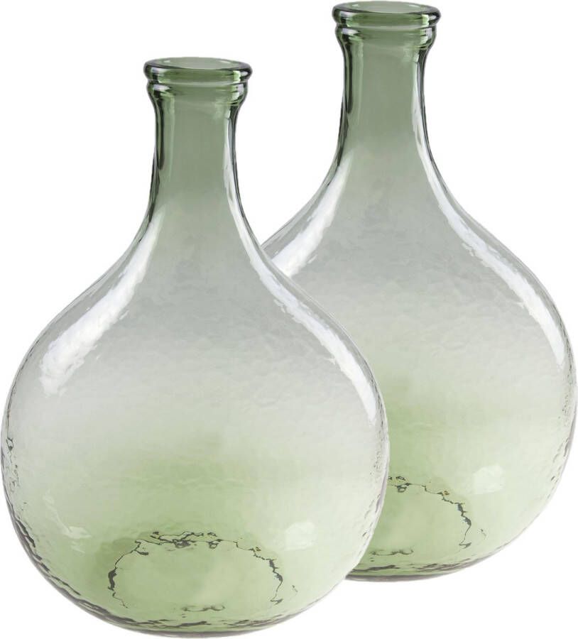 Cosy @ Home 2x stuks flesvazen glas groen 27 x 40 cm Vazen van glas