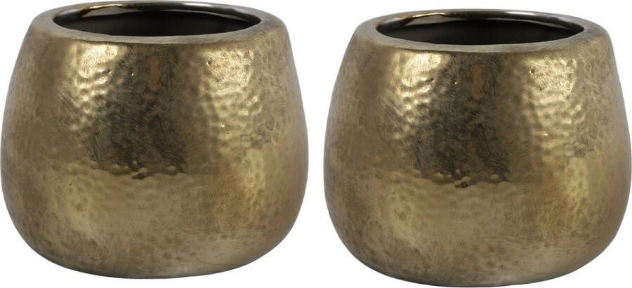 Countryfield Bloemen plantenpot Oro 2x terracotta goud kleurig D16 x H11.5 cm