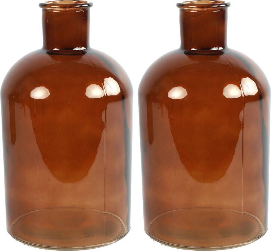 Countryfield Bloemenvaas 2x stuks bruin glas apotheker fles D17 x H30 cm