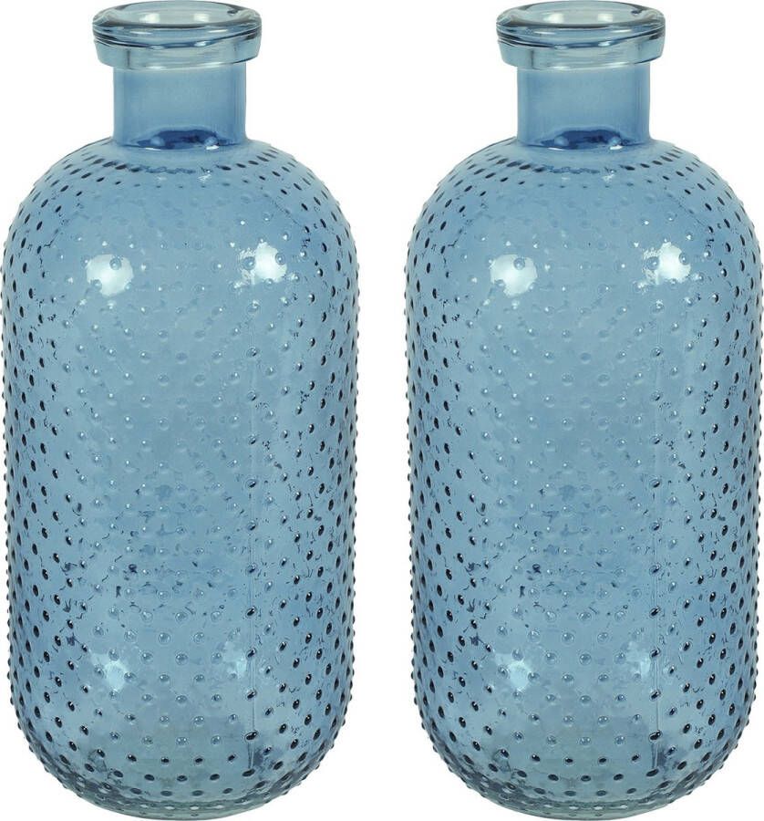 Countryfield Bloemenvaas Cactus Dots 2x blauw transparant glas D15 x H35 cm
