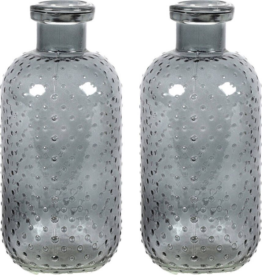 Countryfield Bloemenvaas Cactus Dots 2x donkergrijs transparant glas D11 x H24 cm Vazen