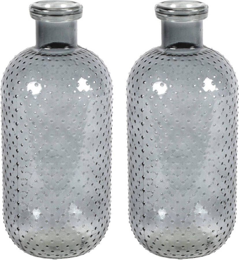 Countryfield Bloemenvaas Cactus Dots 2x donkergrijs transparant glas D15 x H35 cm Vazen