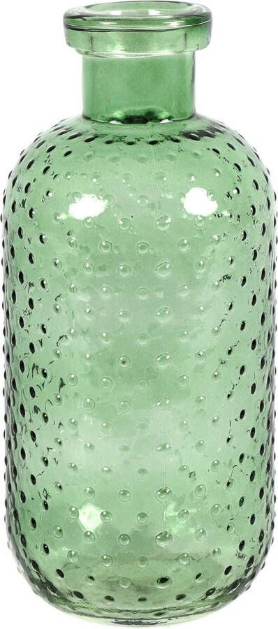Countryfield Bloemenvaas Cactus Dots groen transparant glas D11 x H24 cm