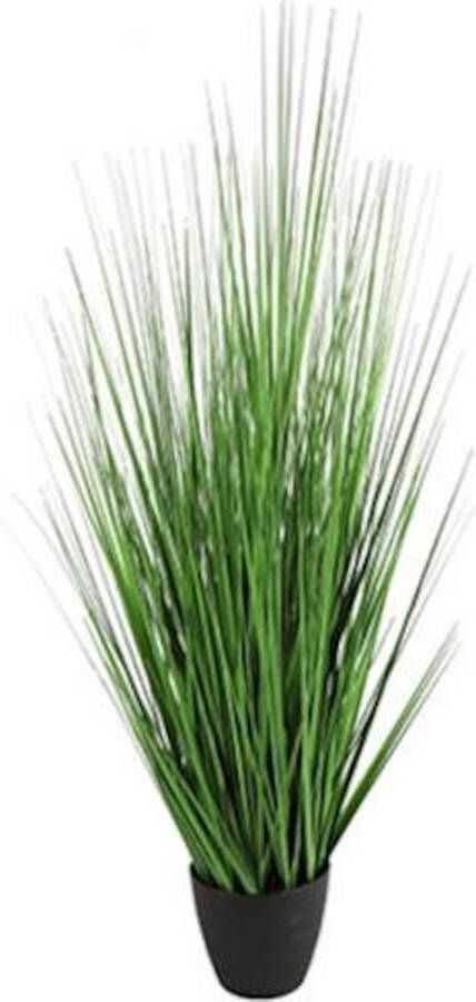 Non Branded Non-Branded Kunstplant Poaceae 75 cm Polysteen Groen