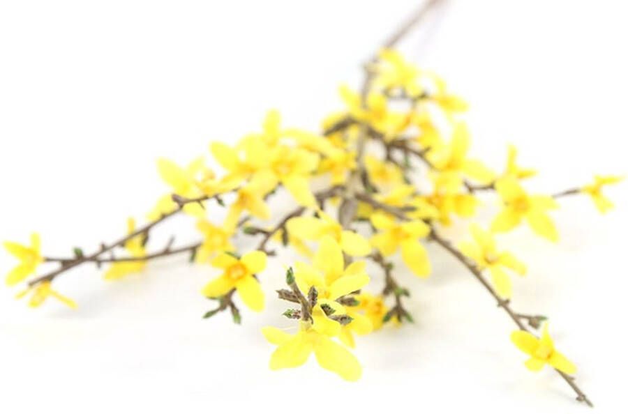Countryfield Paastak Forsythia Tak geel Lente & paaldecoratie bloemen Lengte 76cm B 10cm Hoogte 1 5CM