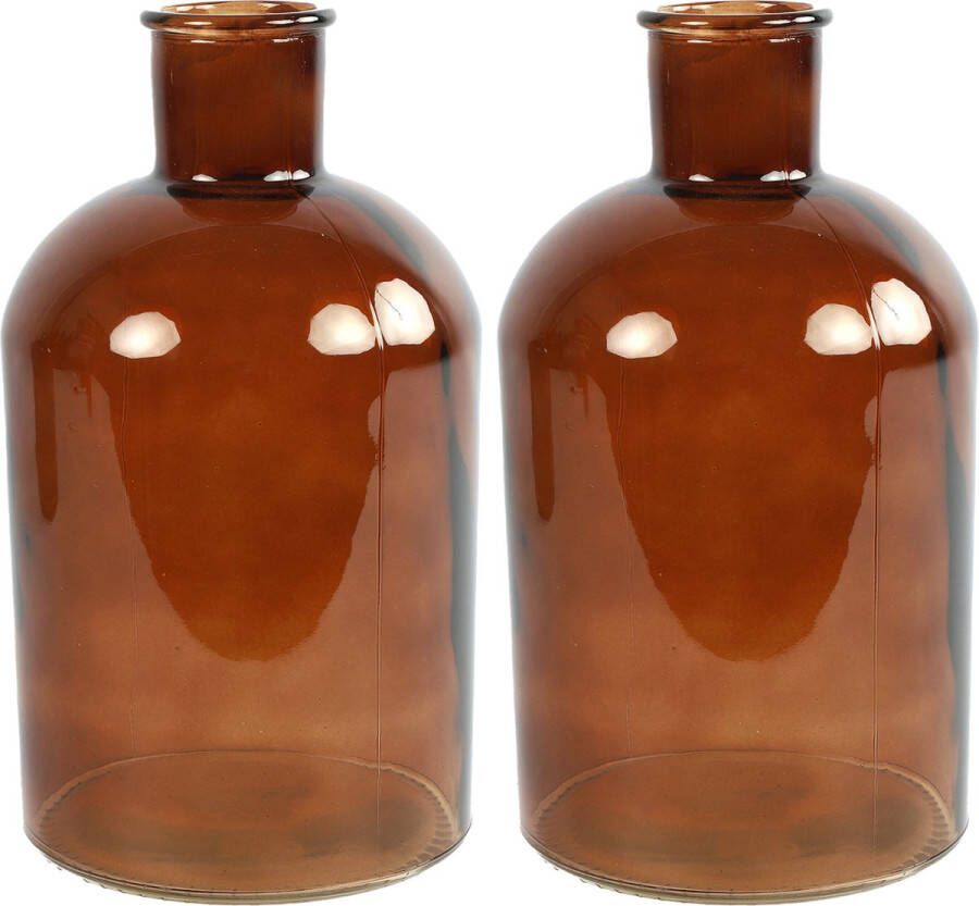 Countryfield vaas 2x stuks bruin glas fles D14 x H27 cm Vazen