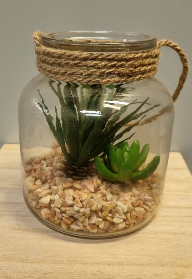 Countryfield vetplanten in glazen pot L