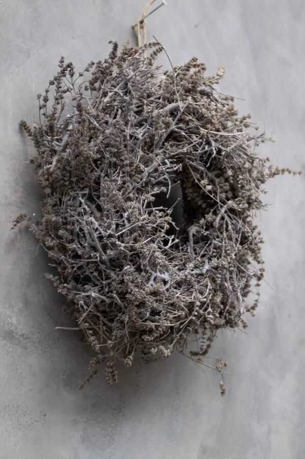 Couronne Krans van bonsai en lavendel 'Wild' (Ø40cm)